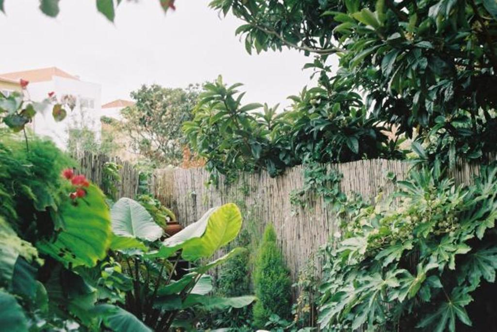 Apartment With Private Garden Порто Стая снимка